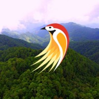 Sparrow Missions logo - Similar company to Infoport E-Learning-Agentur