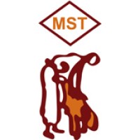 Muhammad Shafi Tanneries Private Limited. logo - Similar company to Stanleyco Consulting Sdn Bhd