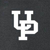 UnderPressure Racing logo - Similar company to Andrea Foffi - Vintage Watches And Cars