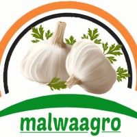 Malwa Agro food logo - Similar company to French Classes 416