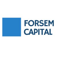 FORSEM CAPITAL logo - Similar company to Brida It Services S.A. De C.V.
