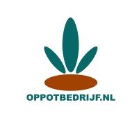 Oppotbedrijf.nl logo - Similar company to Flexclick