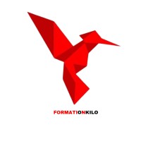 Formationkilo logo - Similar company to Danewell Solutions