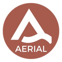 Aerial Talent logo - Similar company to Snowflow
