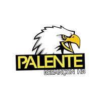 Palente Besancon Handball logo - Similar company to Digital Skilled Professionals