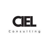 C Consulting logo - Similar company to Wavytail