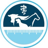 VetMeasure logo - Similar company to Sapien Llc