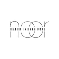 Noor Trading International logo - Similar company to Digital Progency