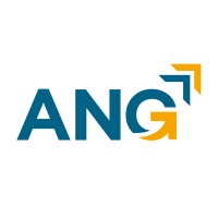 AN Group logo - Similar company to Ebit Lda