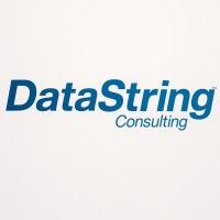 DataString Consulting logo - Similar company to Dataintelo (O)