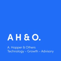 AH&O Advisory logo - Similar company to Future Being