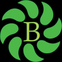 BeTesfa Pharma Consultants logo - Similar company to Cassia Pharmacare Ltd