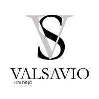 Valsavio Holding logo - Similar company to Ueno Srl