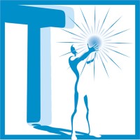 T-Trade Group logo - Similar company to Domsolution