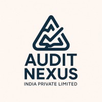 AuditNexus India Private limited logo - Similar company to Virtual Reality Kingdom Technologies