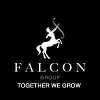 Falcon Group of Companies logo - Similar company to Falcon Group