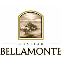 Chateau Bellamonte, LLC logo - Similar company to Starcade Arcade