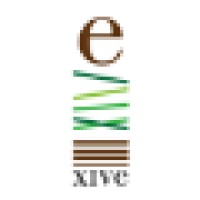 Xive Group