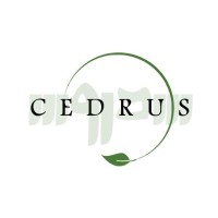 Cedrus Group
