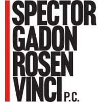 Spector Gadon Rosen Vinci P.C. logo - Similar company to The Constitutional Sources Project
