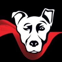 Alpha Media USA logo - Similar company to Walkjogrun