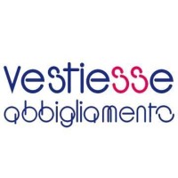 Vestiesse logo - Similar company to Park&Control Italia
