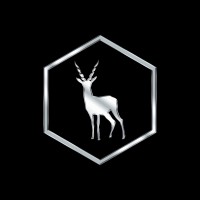 Blackbucks Group🦌 logo - Similar company to Blackbugs Technologies