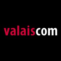 Valaiscom AG logo - Similar company to Fiber Cabling Services - Expert Câblage Et Infrastructure It