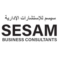 Sesam Business Consultants logo - Similar company to Sesam Connect