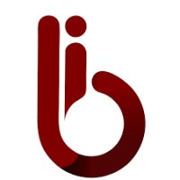 BITINFO TECHNOLOGY logo - Similar company to Growwork Infotech