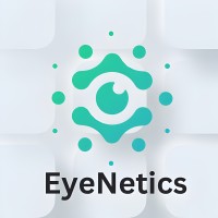 EyeNetics logo - Similar company to Blindflee