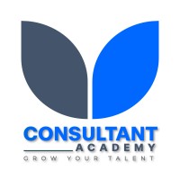 Consultant Academy logo - Similar company to Independent It Consultant