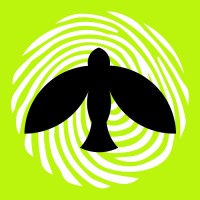 Spirit Style LTD logo - Similar company to Builderclan
