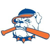 Hit Dogs Official logo - Similar company to Baseball Concepts