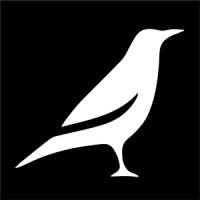 Raven Studio Inc. logo - Similar company to Recast Digital