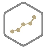 Performance Web