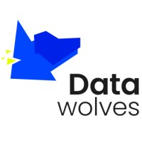 Data Wolves logo - Similar company to Seosem24 Skuteczne Pozycjonowanie Stron Www, Tworzenie Stron Www, Seo, Sem, Facebook Ads!
