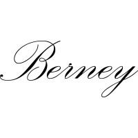Berney watch logo - Similar company to Konsept