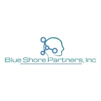 Blue Shore Partners, Inc logo - Similar company to Sheyconomics