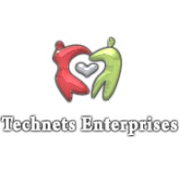 Technets Enterprises logo - Similar company to Virtualizm Studio