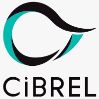 CIBREL REFRIGERAÇÃO logo - Similar company to Vision Controls (Ar Condicionado & Refrigeração)