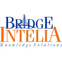 BridgeIntelia Knowledge Solutions logo - Similar company to Fundstartup.In