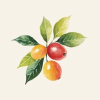 CoffeeHunt