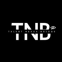 Talent Nexus Bridge logo - Similar company to Bizz World Communications