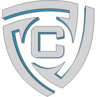 CyberTeam Solutions logo - Similar company to Fastex Us
