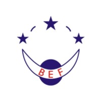 BEF Shoes Sole manufacture logo - Similar company to Workarmor Safety Technology Co., Ltd