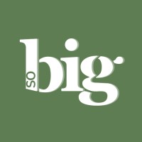 so BIG logo - Similar company to Database 360 | Cg Consulting