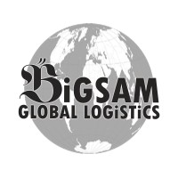 Bigsam Global Logistics logo - Similar company to Easyport Limited