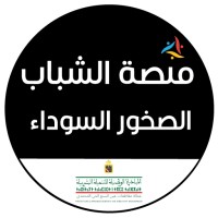 Plateforme des jeunes ROCHES NOIRES logo - Similar company to Startupgrow Foundation
