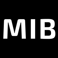 MIB Security Services logo - Similar company to Daelibs